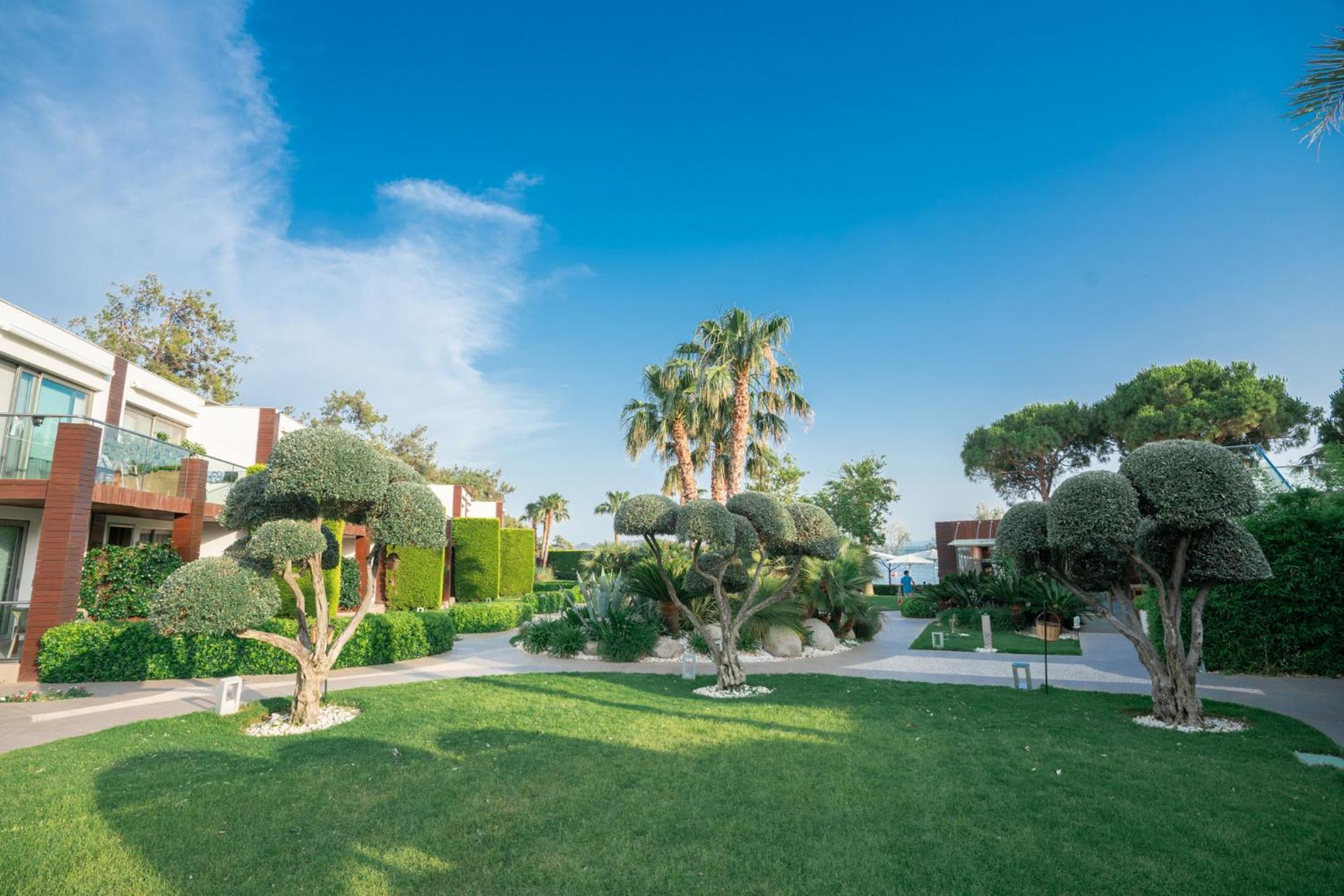 Ortunc Hotel - Cunda Island (Adults Only) Аявали Екстериор снимка