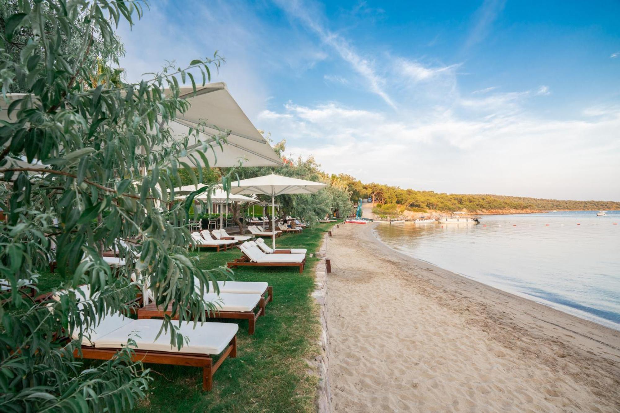 Ortunc Hotel - Cunda Island (Adults Only) Аявали Екстериор снимка