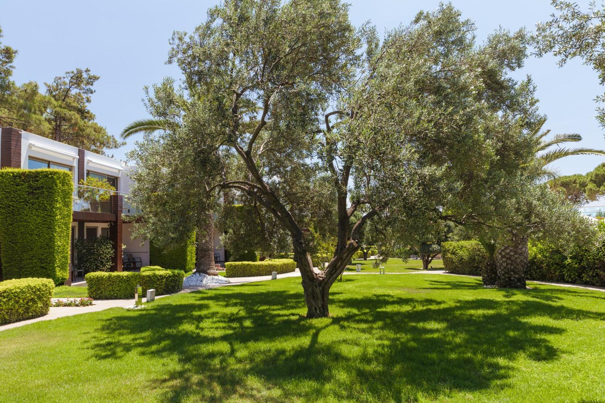 Ortunc Hotel - Cunda Island (Adults Only) Аявали Екстериор снимка