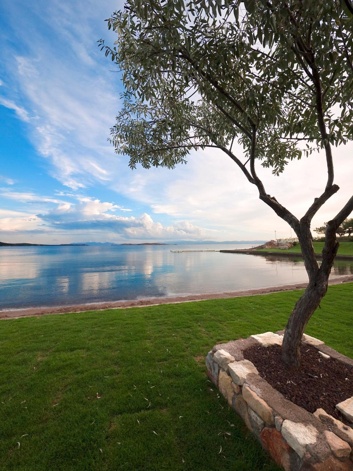Ortunc Hotel - Cunda Island (Adults Only) Аявали Екстериор снимка